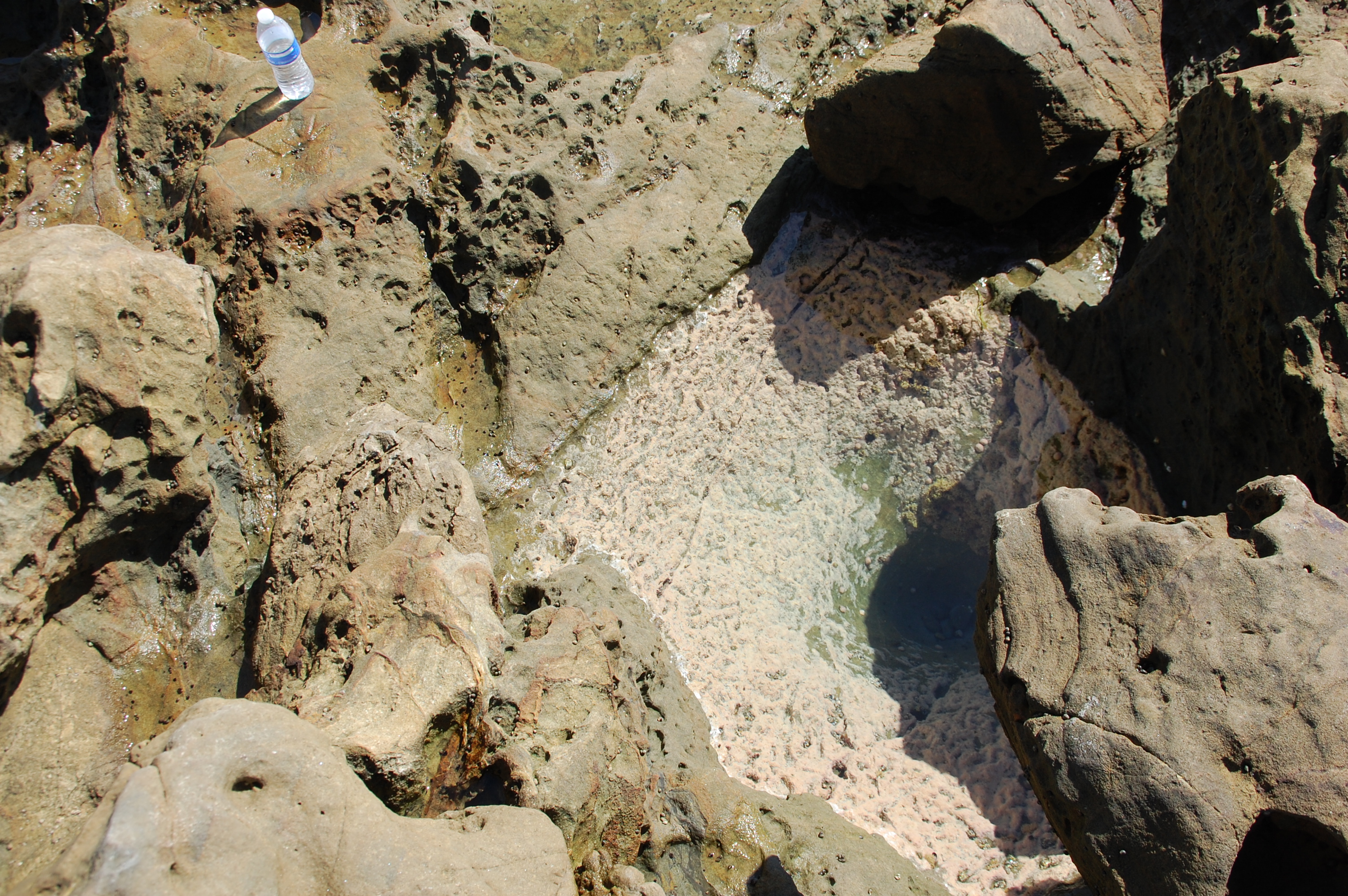 Laguna Beach, California