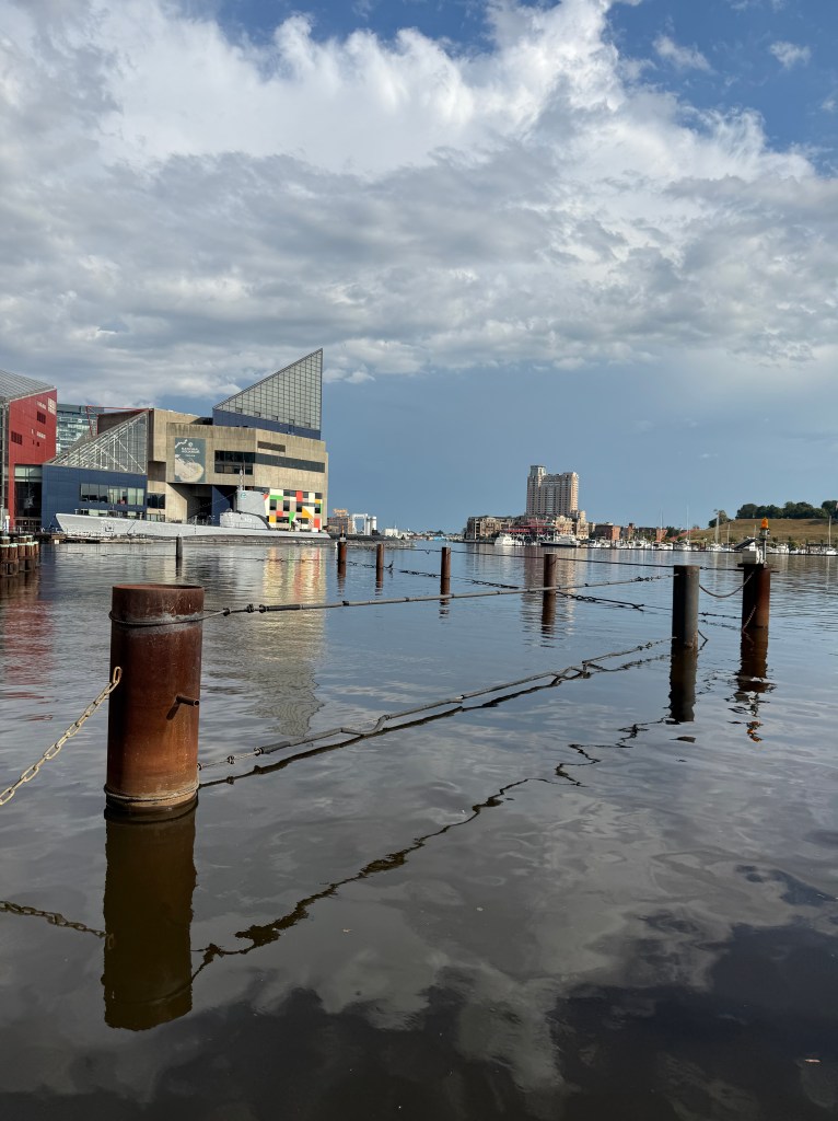 National Aquarium from Inner Harbor
