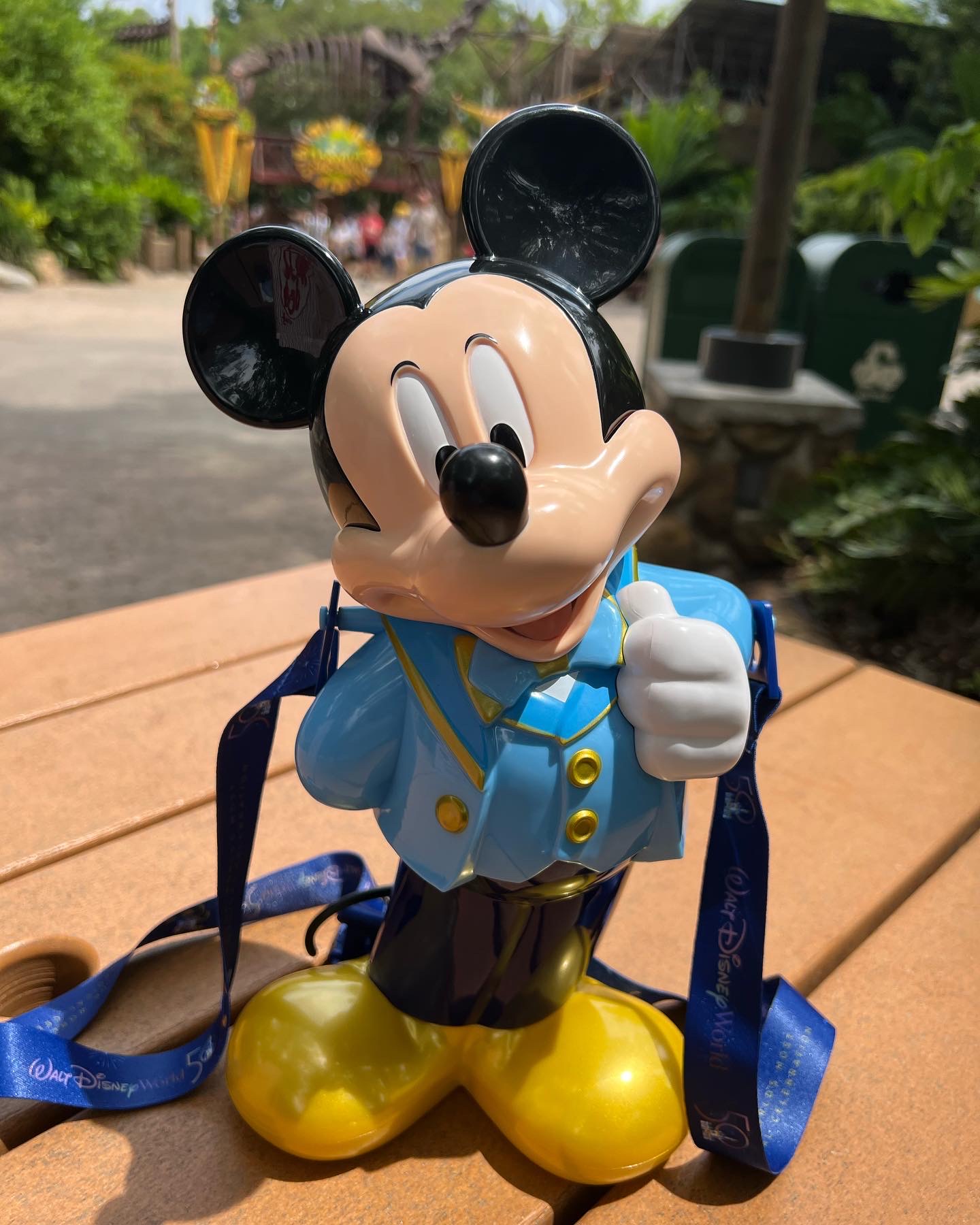 My 1st WDW popcorn&nbsp;bucket